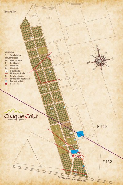 Mappa Azienda Cinque Colli